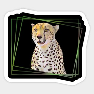 Cheetah Drawing - Cat in Africa - Predator Sticker